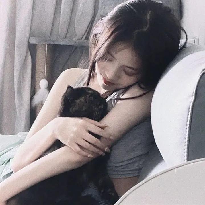 情来.算尽爱