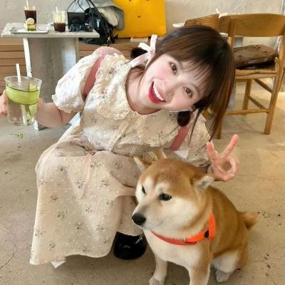 不止不休