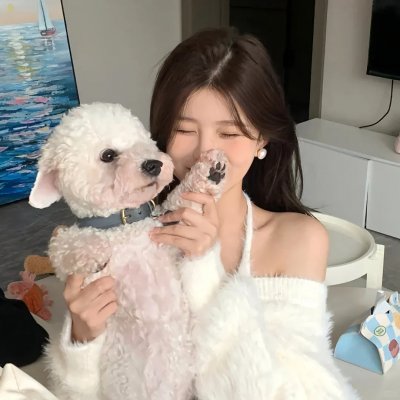 动物宝宝